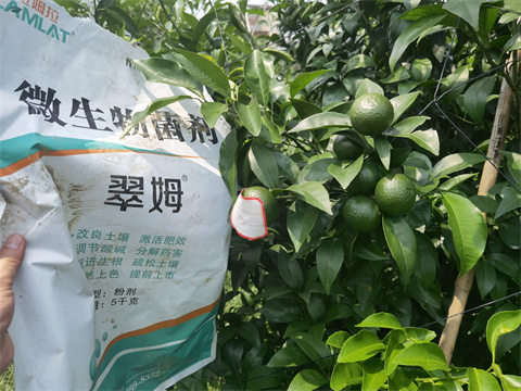 水溶肥,翠姆,柑橘水溶肥 水溶肥,翠姆,柑橘水溶肥