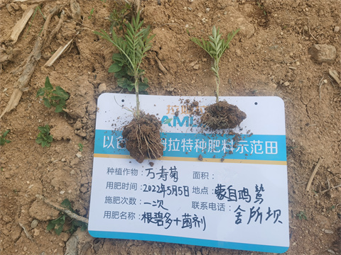 水溶肥,翠姆,萬壽菊種植 水溶肥,翠姆,萬壽菊種植