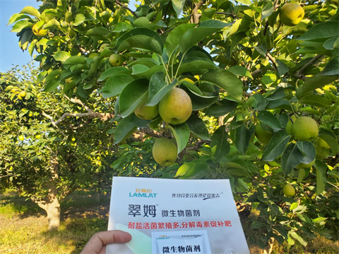 水溶肥,翠姆,香梨水溶肥 水溶肥,翠姆,香梨水溶肥