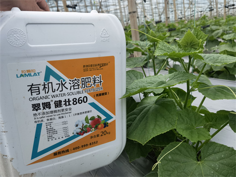 水溶肥,翠姆,拉姆拉 水溶肥,翠姆,拉姆拉