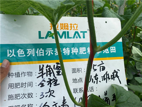 水溶肥,伯示麥,羊角蜜水溶肥 水溶肥,伯示麥,羊角蜜水溶肥