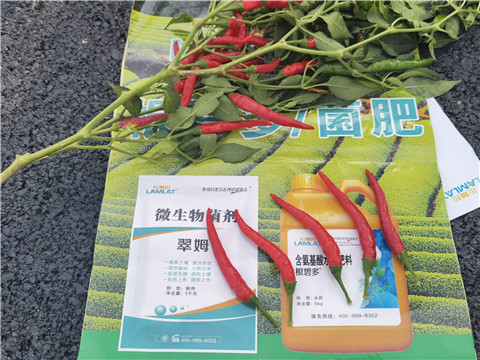 水溶肥,翠姆,辣椒水溶肥 水溶肥,翠姆,辣椒水溶肥