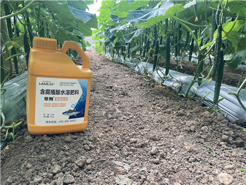 水溶肥廠家,翠姆,黃瓜水溶肥 水溶肥廠家,翠姆,黃瓜水溶肥