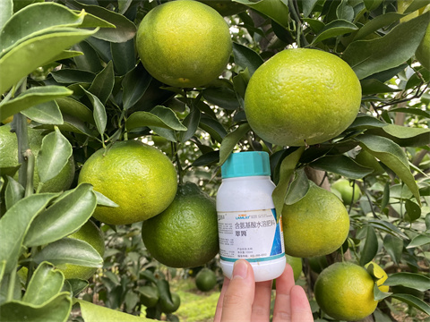 水溶肥,翠姆,柑橘水溶肥 水溶肥,翠姆,柑橘水溶肥