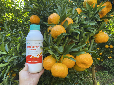 水溶肥,翠姆,柑橘種植 水溶肥,翠姆,柑橘種植