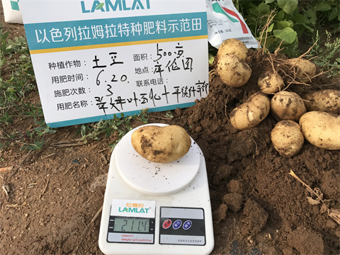 水溶肥,翠姆,馬鈴薯種植 水溶肥,翠姆,馬鈴薯種植