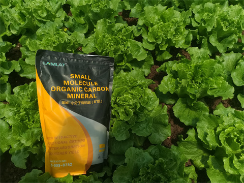 水溶肥,翠姆，蔬菜水溶肥