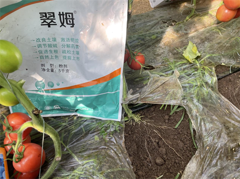 微生物菌劑,翠姆,拉姆拉 微生物菌劑,翠姆,拉姆拉