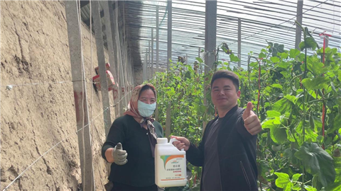 特種肥,水溶肥,拉姆拉,伯示麥 特種肥,水溶肥,拉姆拉,伯示麥