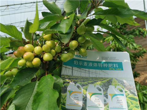 特種肥,水溶肥,拉姆拉,伯示麥 特種肥,水溶肥,拉姆拉,伯示麥