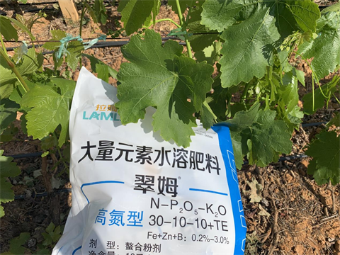 進(jìn)口水溶肥,葡萄種植,翠姆水溶肥 進(jìn)口水溶肥,葡萄種植,翠姆水溶肥