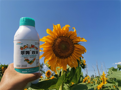 葉面肥廠家,葵花種植,翠姆雙保 葉面肥廠家,葵花種植,翠姆雙保