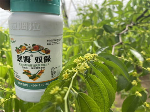 水溶肥品牌,冬棗種植,拉姆拉特種肥 水溶肥品牌,冬棗種植,拉姆拉特種肥