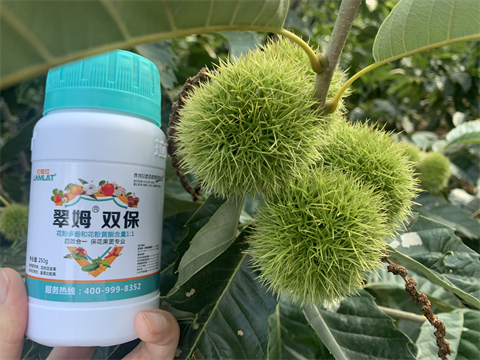水溶肥品牌,板栗?；ū９?翠姆雙保