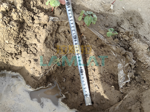 水溶肥廠家,棉花種植,翠姆水溶肥 水溶肥廠家,棉花種植,翠姆水溶肥