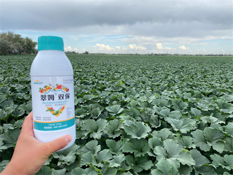 水溶肥品牌,葫蘆種植,翠姆水溶肥 水溶肥品牌,葫蘆種植,翠姆水溶肥