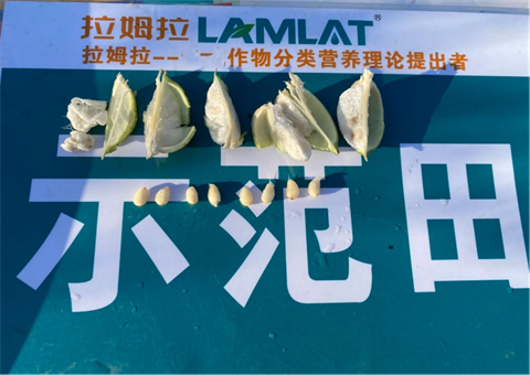 水溶肥廠家,棉花種植,翠姆水溶肥 水溶肥廠家,棉花種植,翠姆水溶肥