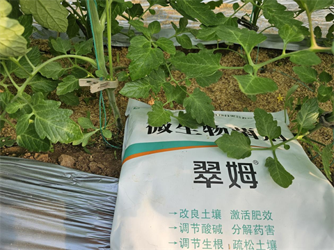 進(jìn)口水溶肥,微生物菌劑,拉姆拉特種肥 進(jìn)口水溶肥,微生物菌劑,拉姆拉特種肥