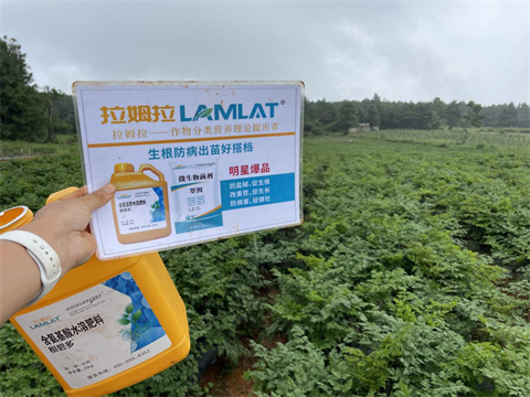 水溶肥廠家,當歸種植,翠姆水溶肥 水溶肥廠家,當歸種植,翠姆水溶肥