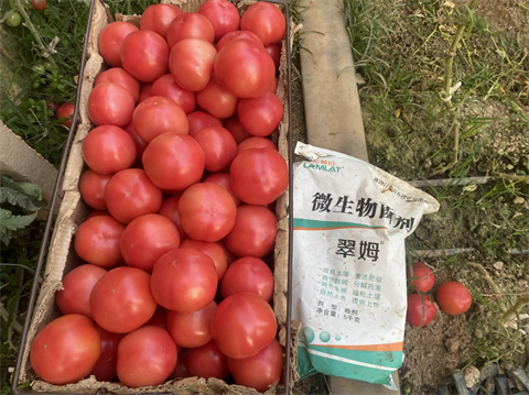 水溶肥廠家,特種水溶肥,拉姆拉水溶肥 水溶肥廠家,特種水溶肥,拉姆拉水溶肥