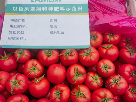 水溶肥廠家,特種水溶肥,拉姆拉水溶肥 水溶肥廠家,特種水溶肥,拉姆拉水溶肥