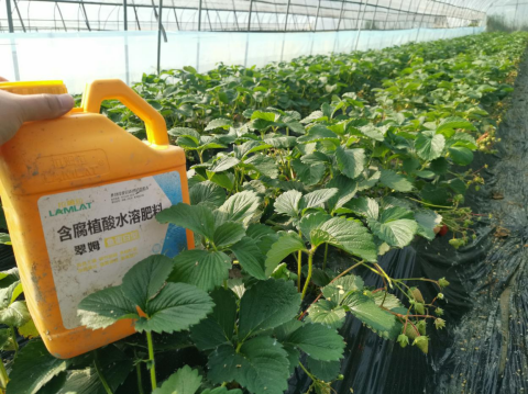 水溶肥廠家,魚蛋白水溶肥,翠姆水溶肥 水溶肥廠家,魚蛋白水溶肥,翠姆水溶肥