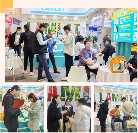 進(jìn)口水溶肥,山東植保會(huì),拉姆拉水溶肥 進(jìn)口水溶肥,山東植保會(huì),拉姆拉水溶肥