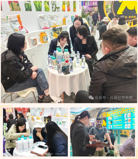 進(jìn)口水溶肥,山東植保會(huì),拉姆拉水溶肥 進(jìn)口水溶肥,山東植保會(huì),拉姆拉水溶肥