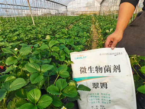 水溶肥廠家,微生物菌劑,翠姆水溶肥 水溶肥廠家,微生物菌劑,翠姆水溶肥