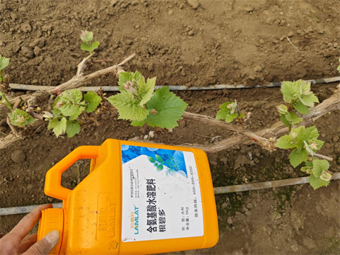 進(jìn)口水溶肥,葡萄施肥,翠姆水溶肥 進(jìn)口水溶肥,葡萄施肥,翠姆水溶肥