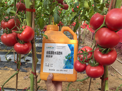 水溶肥品牌,拉姆拉,滴灌級(jí)特種肥 水溶肥品牌,拉姆拉,滴灌級(jí)特種肥