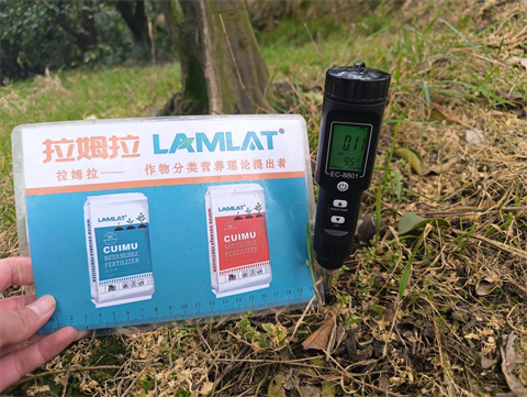 進口水溶肥,柑橘種植,拉姆拉滴灌級特種肥 進口水溶肥,柑橘種植,拉姆拉滴灌級特種肥