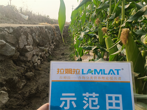 水溶肥廠家,拉姆拉水溶肥,拉姆拉滴灌級特種肥 水溶肥廠家,拉姆拉水溶肥,拉姆拉滴灌級特種肥