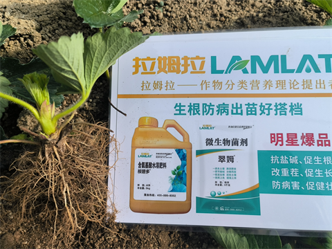 進(jìn)口水溶肥,草莓種植,翠姆水溶肥 進(jìn)口水溶肥,草莓種植,翠姆水溶肥