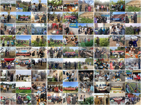 水溶肥廠家,農(nóng)業(yè)內(nèi)卷,拉姆拉滴灌級(jí)特種肥 水溶肥廠家,農(nóng)業(yè)內(nèi)卷,拉姆拉滴灌級(jí)特種肥