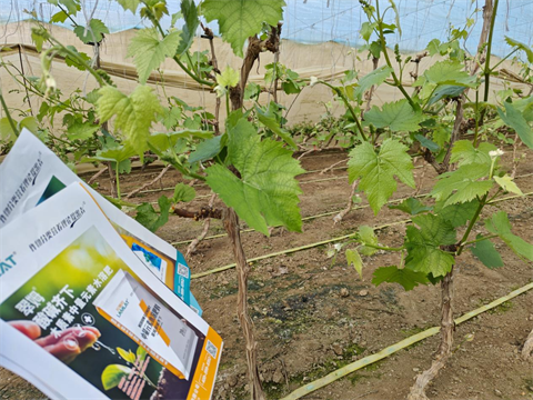 水溶肥,中微量元素,翠姆酸堿齊下 水溶肥,中微量元素,翠姆酸堿齊下