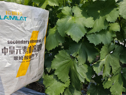 水溶肥,中微量元素,翠姆酸堿齊下 水溶肥,中微量元素,翠姆酸堿齊下
