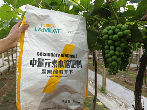 水溶肥,中微量元素,翠姆酸堿齊下 水溶肥,中微量元素,翠姆酸堿齊下