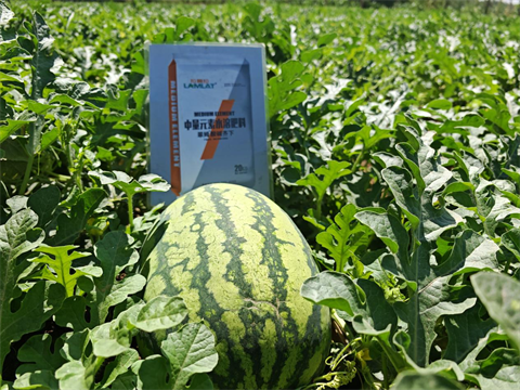 水溶肥,西瓜種植,拉姆拉滴灌級(jí)特種肥 水溶肥,西瓜種植,拉姆拉滴灌級(jí)特種肥