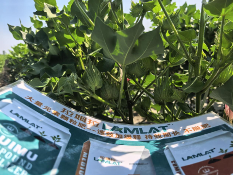 水溶肥品牌,棉花種植,拉姆拉滴灌級特種肥 水溶肥品牌,棉花種植,拉姆拉滴灌級特種肥