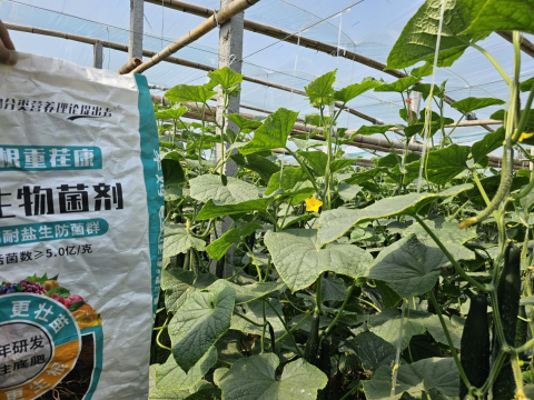 水溶肥,土壤重茬,翠姆生根重茬康 水溶肥,土壤重茬,翠姆生根重茬康