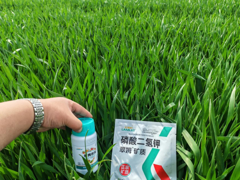 水溶肥品牌,大田作物種植,拉姆拉滴灌級(jí)特種肥 水溶肥品牌,大田作物種植,拉姆拉滴灌級(jí)特種肥